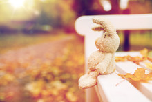 Toy Rabbit On Bench In Autumn Park