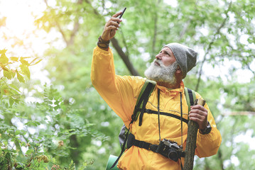 Wall Mural - Pensive senior male tourist using his mobile phone in forest