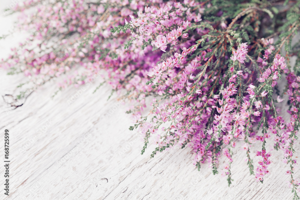 Heap of pink heather flower (calluna vulgaris, erica, ling) on white rustic table. Greeting card for mother or woman day. - obrazy, fototapety, plakaty 