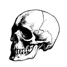 Scary Black Skull On A White Background Sketch Of A Tattoo