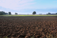 Agricultural Landscape, Arable Crop Field. Countryside Landscape Arable. Plowed Soil In  Farmland.