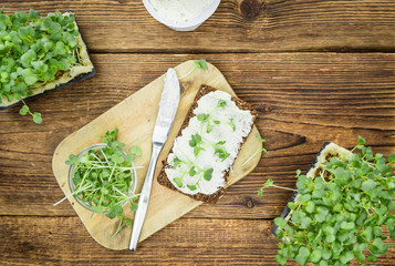 Wall Mural - Fresh Cress with creamy Cheese on a slice of bread (selective focus)