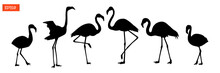 Set Of Silhouettes Of Flamingo Birds