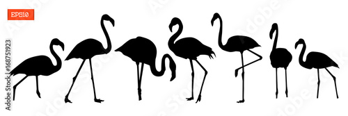 Leinwand Poster  Set of silhouettes of flamingo birds