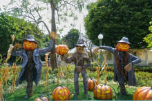Scarecrow And Halloween Pumpkin Head Jack O Lantern Statues For Halloween Decoration Theme In An Outdoor Garden, Scary Pumpkins On The Ground. Toned Photo, Dark Tone For Halloween Concept
