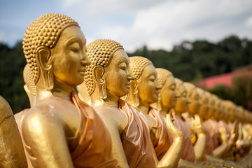 Wall Mural - Group of buddha statue