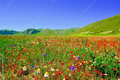 krajobraz-sibillini-mountains-kolorowa-laka-w-castelluccio-wlochy
