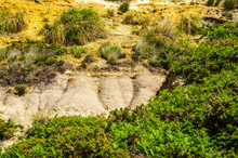 Seaside Sandstone Hillside Covered With Grass And Bushes, Geology, The Power Of Nature