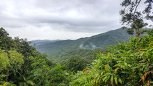 El Yunque National Forest 