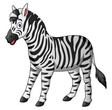 zebra-free-stock-photo-public-domain-pictures