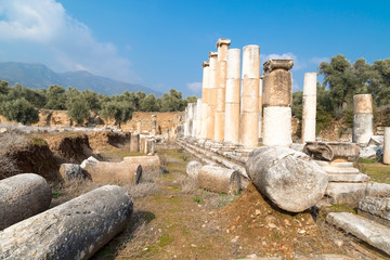 Wall Mural - Agora of Nysa Ancient City