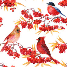 Seamless Pattern For Fabric Birds .cardinal Red Bird Bullfinch,Rowan,illustration Watercolors