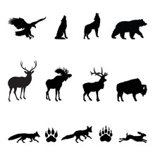 Forest Animals Silhouettes
