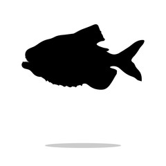 Wall Mural - Piranha fish black silhouette aquatic animal