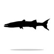 Barracuda fish black silhouette aquatic animal