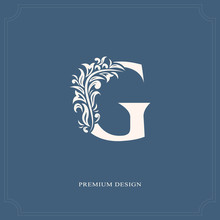 Elegant Letter G. Graceful Royal Style. Calligraphic Beautiful Logo. Vintage Drawn Emblem For Book Design, Brand Name, Business Card, Restaurant, Boutique, Hotel. Vector Illustration