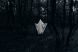 © Nata??_a Mandi?_??/Stocksy - Halloween ghost in a dark forest