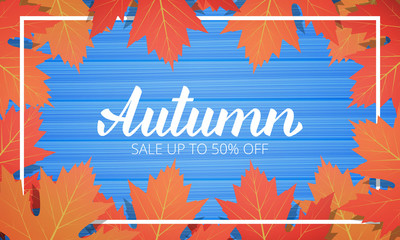 Wall Mural - autumn sale. banner with maple leaves frame and trendy autumn brush lettering. seasonal fall sale ca