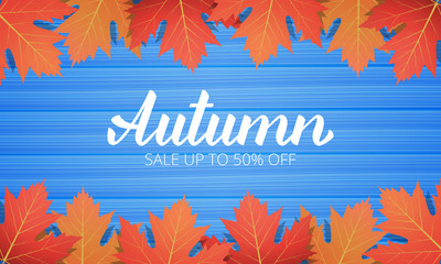 Wall Mural - autumn. sale banner with maple leaves frame and trendy autumn brush lettering. seasonal fall sale ca
