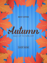 Wall Mural - autumn. sale banner with maple leaves frame and trendy autumn brush lettering. seasonal fall sale ca
