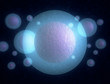 Embryonic stem cells 3d illustration