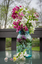 Fresh Picked Bouquet Of Pink And White Flowering Branches In A Vintage Blue Glass Mason Jar
