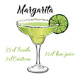 margarita cocktail vector