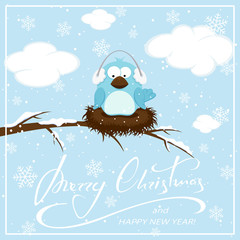 Wall Mural - Blue bird on Christmas background