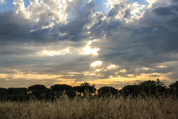 Wall Mural - Panoramic cloudy sky