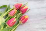 Fototapeta Tulipany - Colorful Spring Tulips on White Wood Table