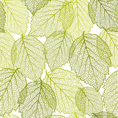 Wall Mural - seamless pattern with leaves