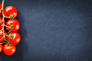 Fresh tomatoes on the branch on the dark background