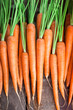 Carrot overhead group lined up on old rustic brown wooden table in studio