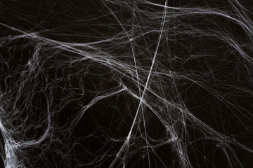 halloween decoration of spider web over black