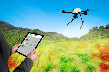 Wall Mural - Smart agriculture , farm , precision farming concept. Drone and NIR images application screen used to create field health maps for normalize difference vegetation index in field.