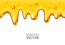 Vector Seamless Dripping Honey On White Background