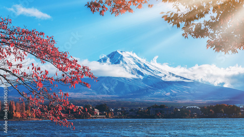 Dekoracja na wymiar  mount-fuji-in-autumn-color-japonia