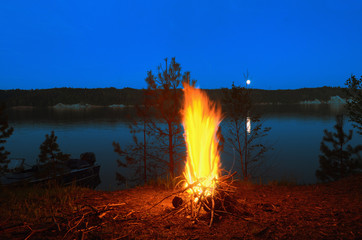 Wall Mural - Big night bonfire on the riverbank in the forest clearing, flames, sparks and fireplace.