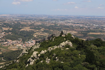 Natur in Sintra