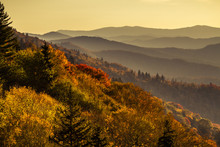 Fall In Great Smoky Mountains National Park
