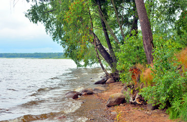 Wall Mural - Shore of the lake.