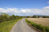 Fototapeta  - curving country road