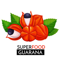 Sticker - Guarana vector icon.
