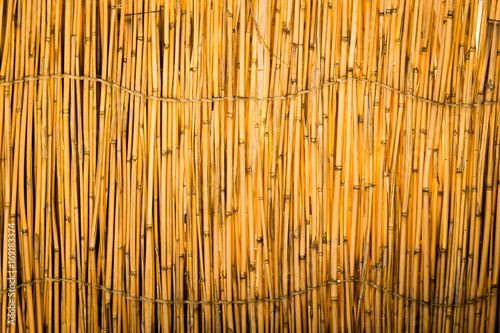 Reed tied in a fence as a background