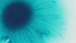 Slow motion turquoise blue ink drop on wet white paper top view