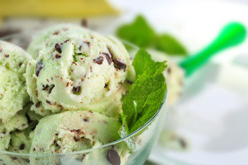 Canvas Print - Dessert bowl with delicious mint chocolate chip ice cream, closeup