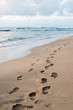 Footsteps along beach in Hawaii