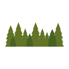 Sticker - Tree pines isolated icon vector illustration graphic design