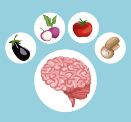 Poster - color background with circular frame brain organ and vegetables healthy food icons vector illustration