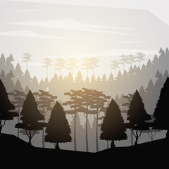 Sticker - colorful background with nightly landscape of forest vector illustration